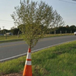 cone weed huntersville fire dept