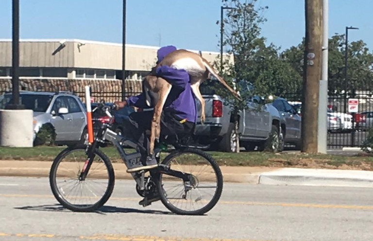 This South Carolina Man Rode His Bicycle Down The Street With A Deer on His Shoulders