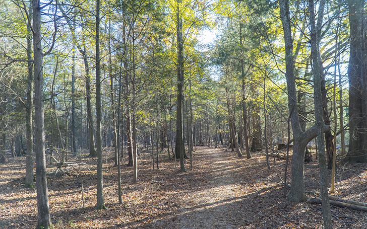 4 National Parks in North Carolina You Should Visit After Quarantine