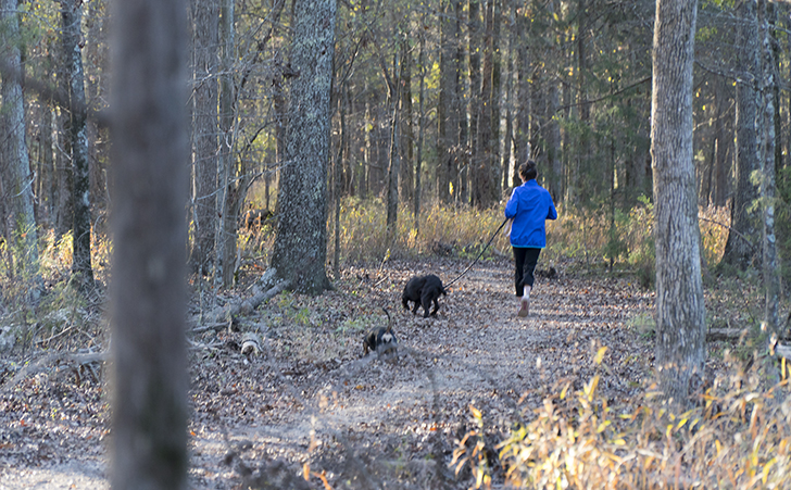 NC Zoo Just Added Over 135 Acres of Wildlife Conservation Lands