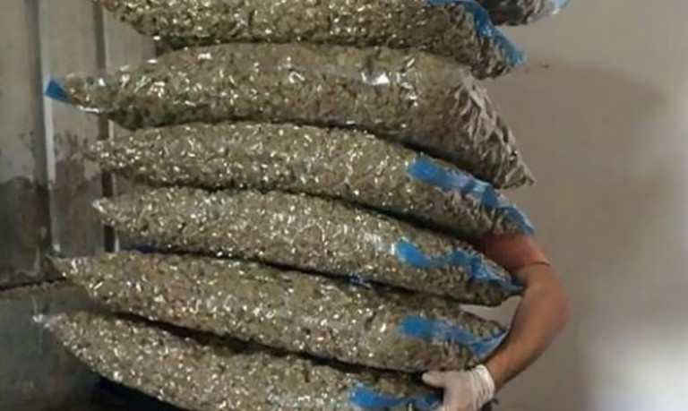 Over 3,000 Lbs of Marijuana Discovered in NC Storage Facility