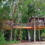 north carolina tree house