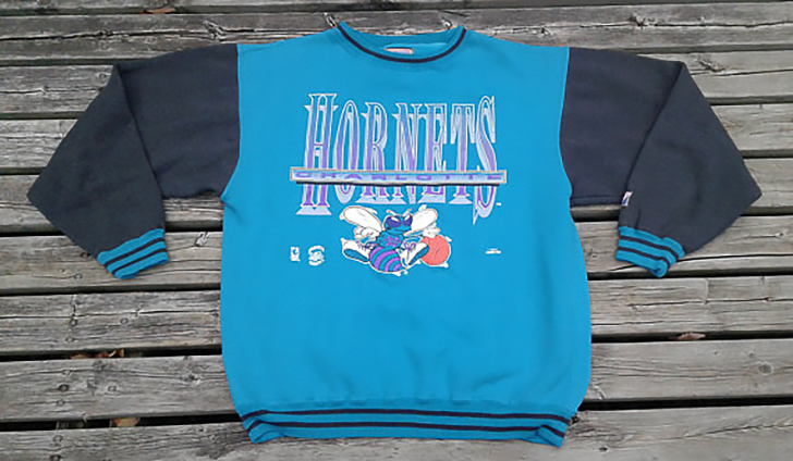 Charlotte Hornet, Vintage Charlotte Hornet Sweatshirt \ T-Shirt, Hornets  Sweater, Hornets T-Shirt, Vintage Basketball Fan, Retro Charlotte