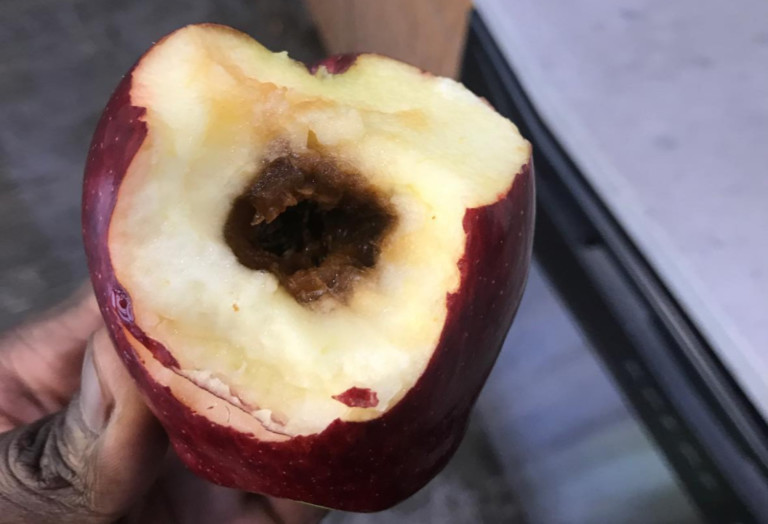 ALDI Just Issued A Massive Recall For Listeria Infected Apples Sold in The Carolinas