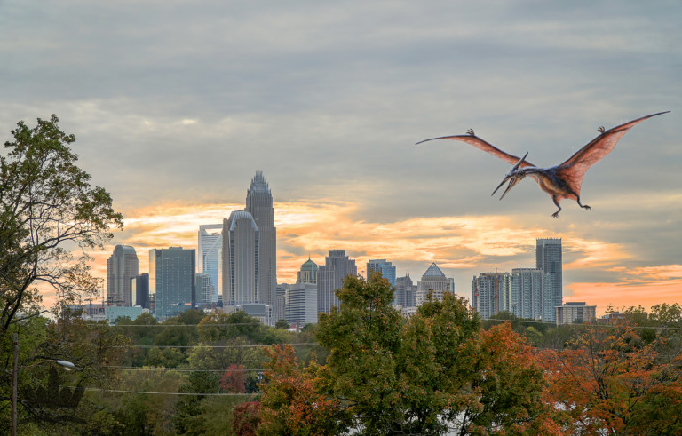 Flying Dinosaurs Sightings Are On The Rise in North Carolina