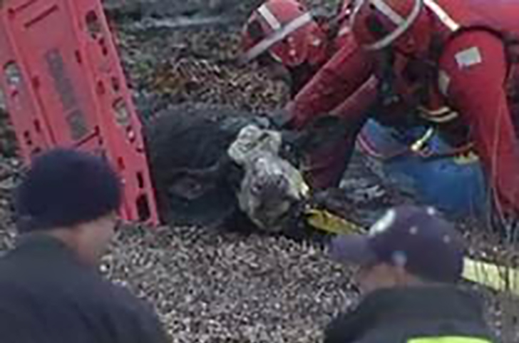 Concord Firefighters Win Award For Rescuing Cow From Icy Pond