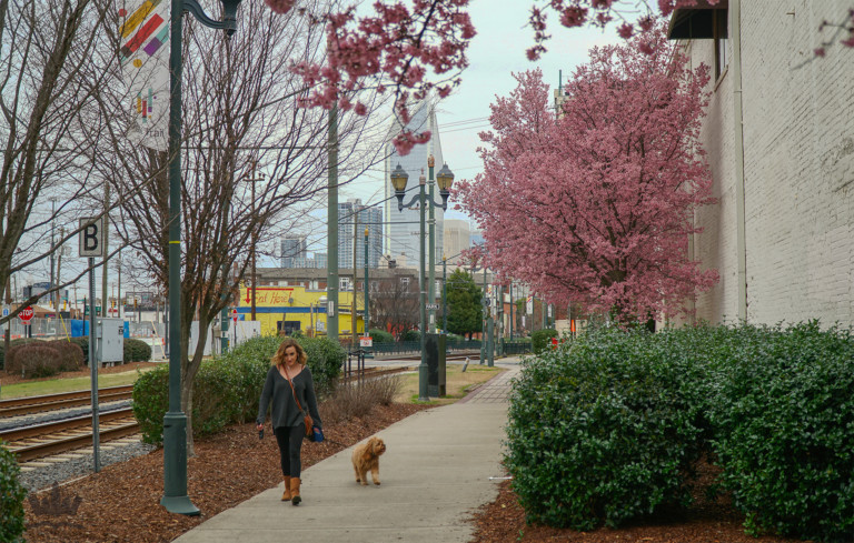 Charlotte is Asking For Feedback From Its Residents on How To Improve