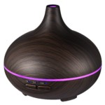 amazon valentines day gifts in charlotte diffuser