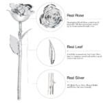 amazon valentines day gifts in charlotte silver rose