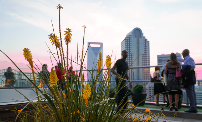 5 of the most romantic places in Charlotte for a first date