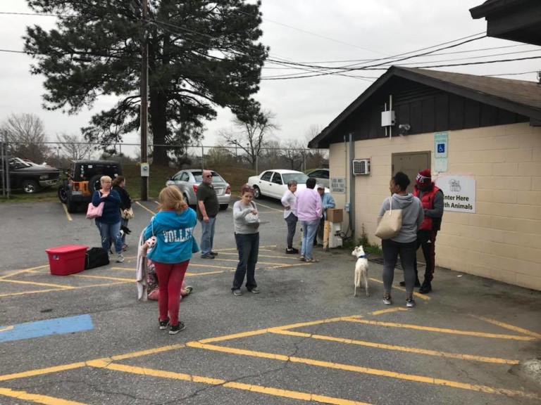 Animal Shelters Are Overflowing Around Charlotte – Desperate Need For Adoptions