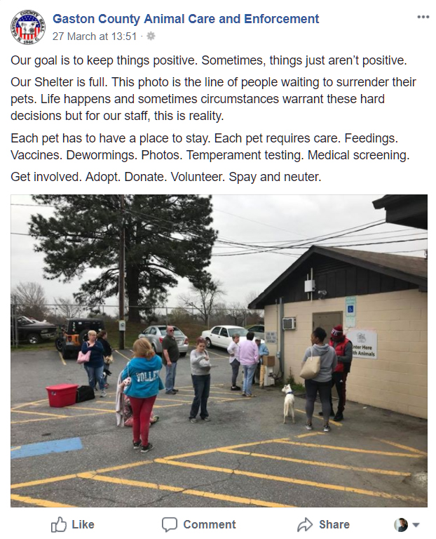 gaston county animal shelter full - Charlotte Stories gaston county animal shelter full - Charlotte Stories