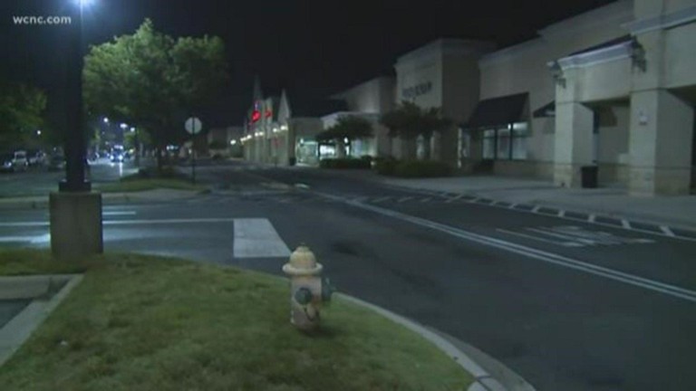 Black Bear Sends Shoppers Running At South Charlotte’s Stonecrest Center