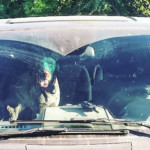 dog left in hot car charlotte