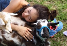 The Family Edition Scratch-Off Adventures Review