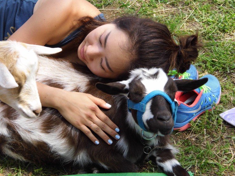 North Carolina Farm Needing People to Cuddle With Baby Goats