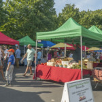 cotswold farmers market main image