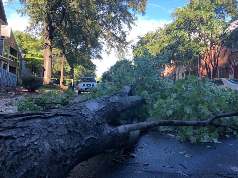 Michael Caused 1 Death and 500,000+ People To Lose Power in North Carolina So Far