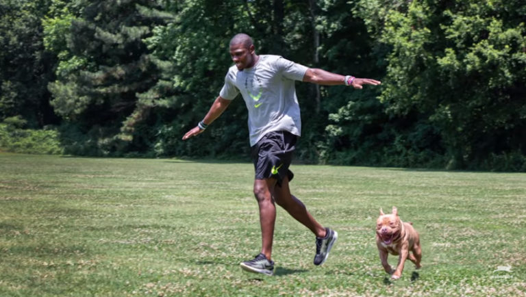 Panthers WR Devin Funchess Partners With PETA In New Ad Campaign