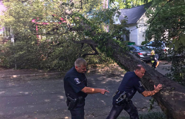 Massive Tree Falls On House in Uptown Charlotte