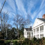 Duke Mansion Treasure Tree cut down 2