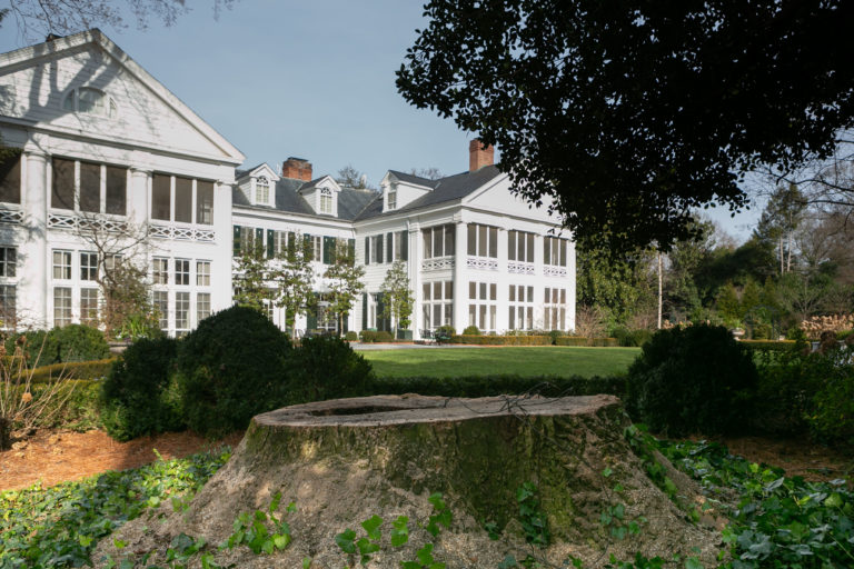 250 Year Old Tree Cut Down This Week at Charlotte’s Historic Duke Mansion