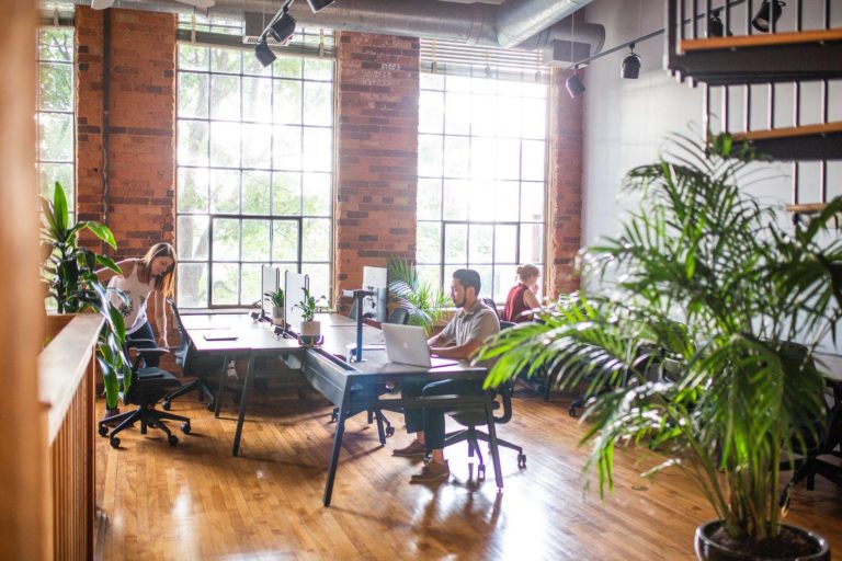 Leveraging Visitor Management Software in Co-working Spaces for Success