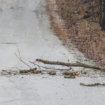 kings mountain national park government shutdown debris