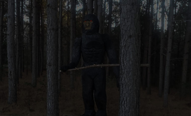 NC County Issues Warning After Confirming Multiple Bigfoot Sightings