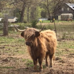 america’s largest farm tour