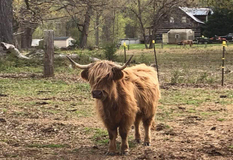 America’s Largest Farm Tour Kicks Off This Weekend in Rock Hill