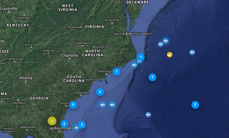 Massive Great White Sharks Are Now Swarming Around The Carolina Coast