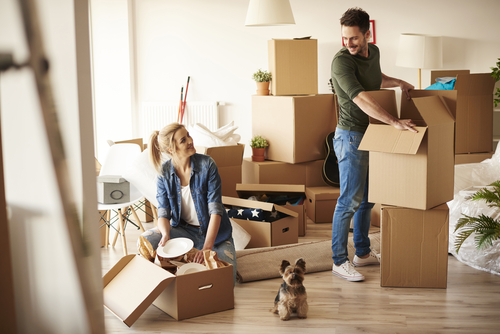 Surviving the Move: Expert Tips For A Better Moving Day