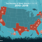 SW-Shark Attack 2019-map B