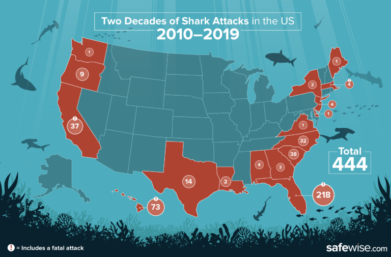 South Carolina Ranks #3 in America for Shark Attacks