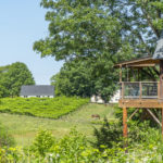 treehouse vineyards best wine region