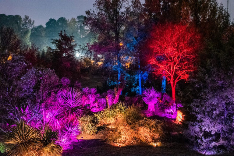 Magical Exhibition Illuminates NCSU Arboretum for 7-nights in November