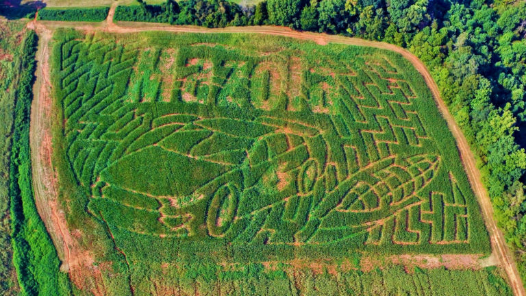 Statesville’s Rescue Ranch Built A Massive 9-Acre Corn Maze For Their ‘Fall Fun Days’ Festivities