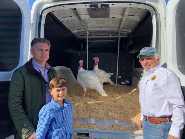 President Trump Will Pardon 2 Turkeys From NC As Part of 72nd Annual Thanksgiving Presentation