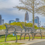 charlotte from metropolitan park small