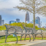 charlotte from metropolitan park small 2