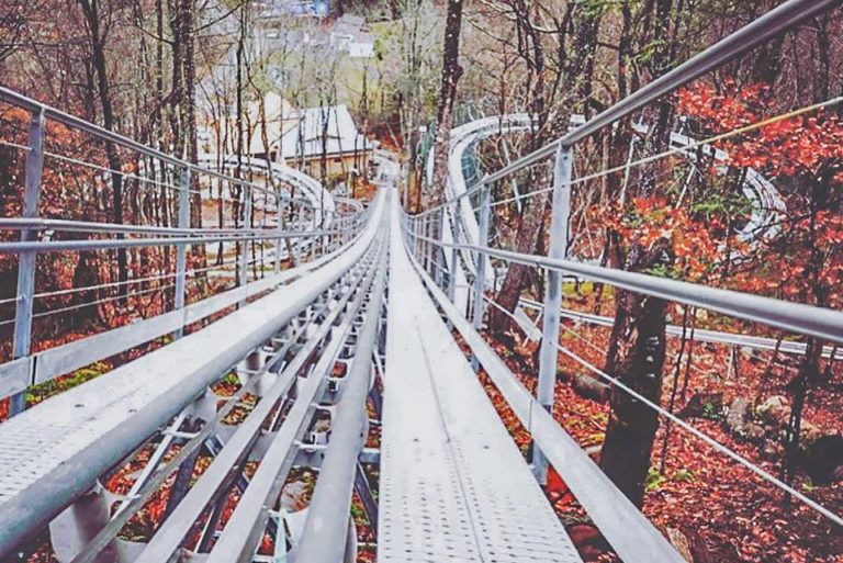 North Carolina Just Opened Their First Ever ‘Alpine Coaster’ At Over 2,100 Feet Long