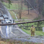 fireman looking at downed tree in gastonia medium