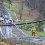 fireman looking at downed tree in gastonia small