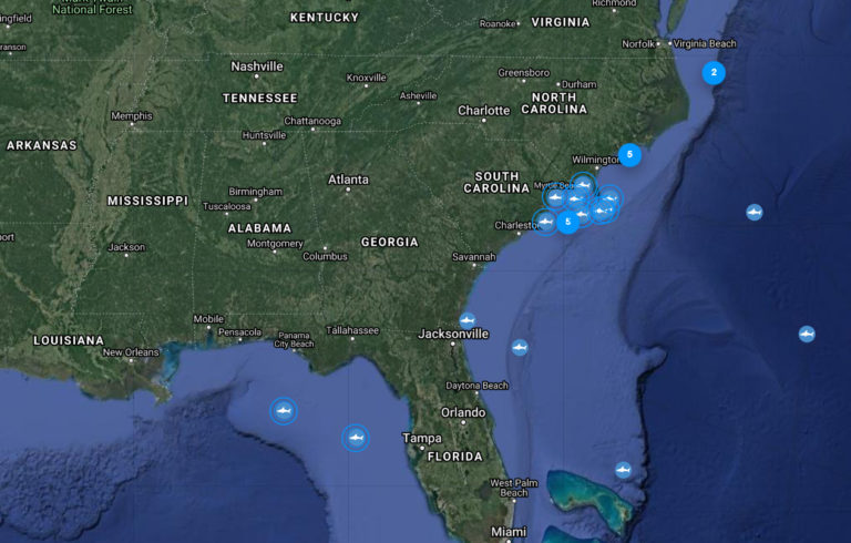 Massive Group of Great White Sharks Swarming Around North Carolina Coast