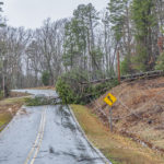 trees taking down power lines in gastonia small