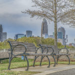 charlotte from metropolitan park small covid 19