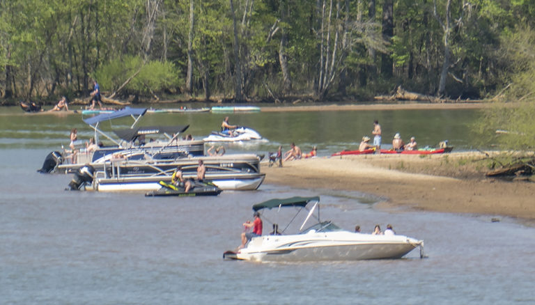 Rare Brain-Eating Amoeba Discovered in South Carolina