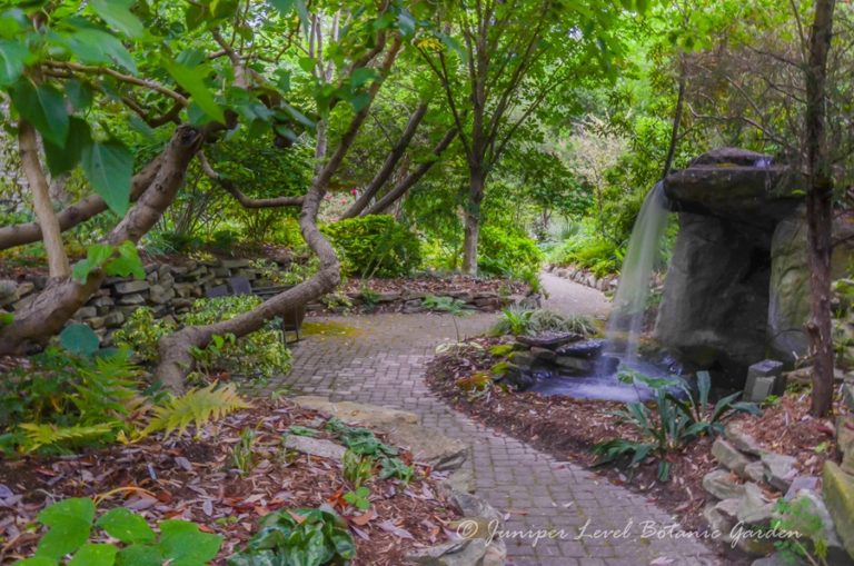 NC’s Juniper Level Botanic Garden Opening This Month