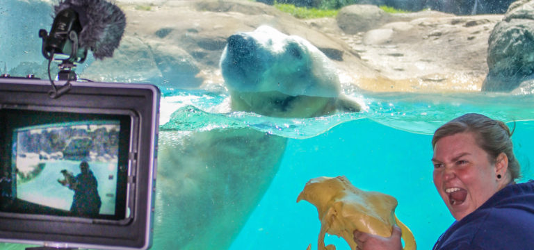 North Carolina Zoo Now Offers Virtual Summer Camps